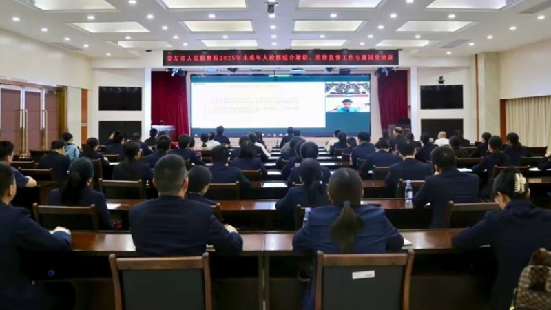 海南省儋州市检察院应邀为广西省崇左市检察院未检同仁授课