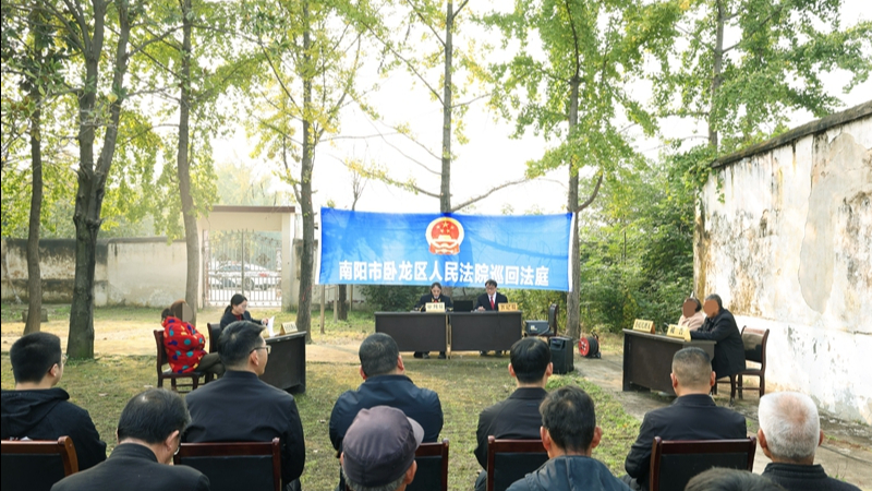 河南省南阳市卧龙区法院：一场银杏树下的巡回审判