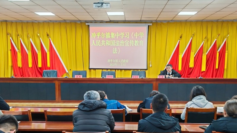 新疆布尔津县冲乎尔镇组织干部专题学习《中华人民共和国法治宣传教育法》