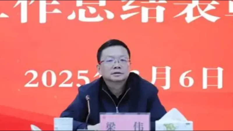 贵州省总工会原党组成员、副主席梁伟被开除党籍和公职