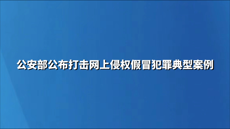 公安部公布打击网上侵权假冒犯罪典型案例