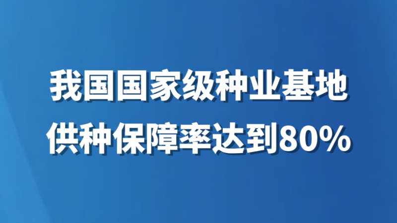 我国国家级种业基地供种保障率达到80%