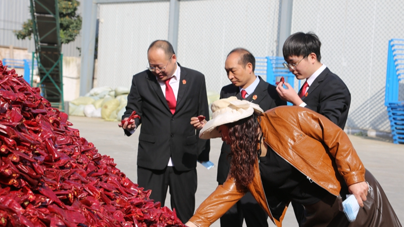 河南省南阳市淅川县法院：司法赋能“红辣椒” 护航农业品牌高质量发展