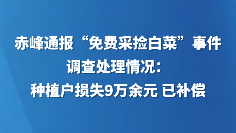 赤峰通报“免费采捡白菜”事件调查处理情况：种植户损失9万余元 已补偿