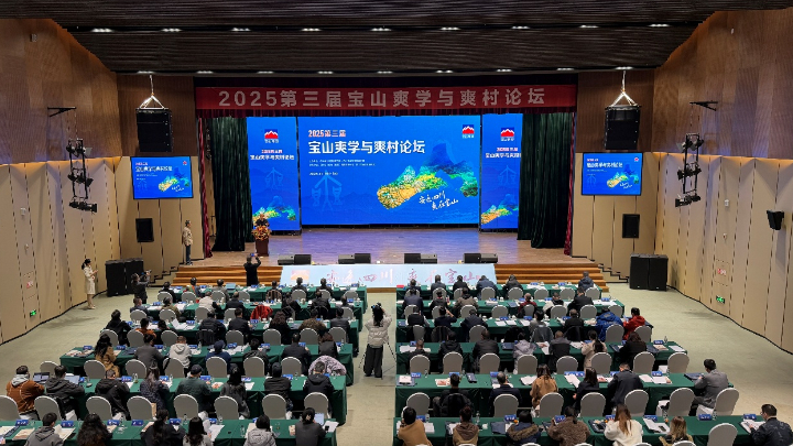 宝山爽的安逸基因与生活哲学