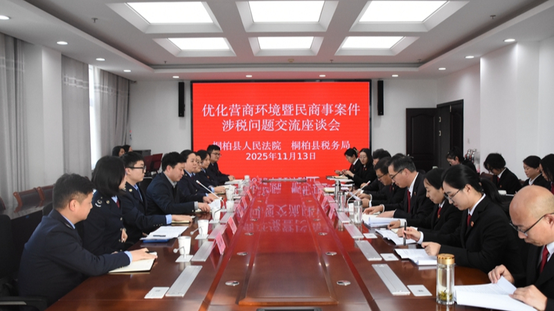 河南省南阳市桐柏县法院：“四维赋能”优化营商环境