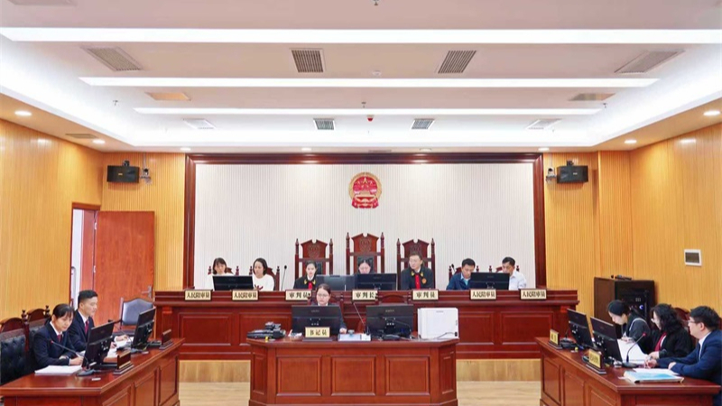 海南海口龙华法院公开审理区首例行政公益诉讼案件