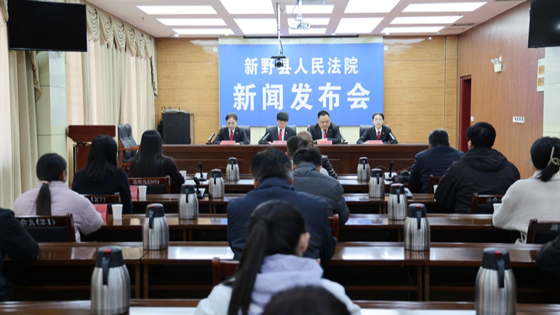 河南省南阳市新野县法院召开民商事审判工作新闻发布会