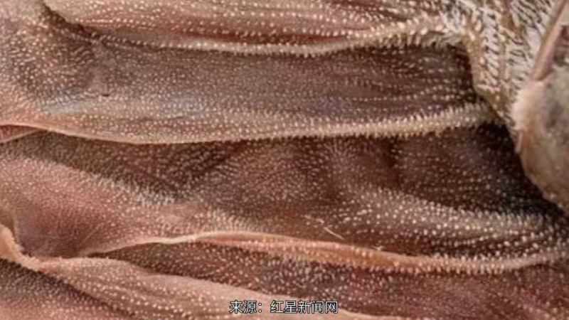 丈夫用甲醛泡发毛肚 妻子售卖双双获刑