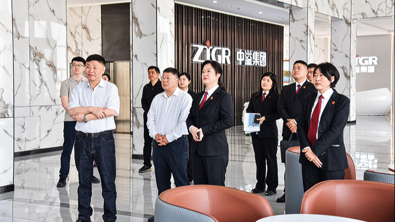 司法“调色盘”绘就法治化营商环境新图景