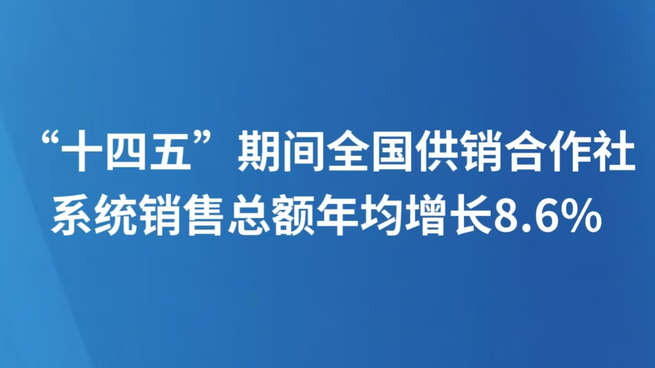“十四五”期间全国供销合作社系统销售总额年均增长8.6%