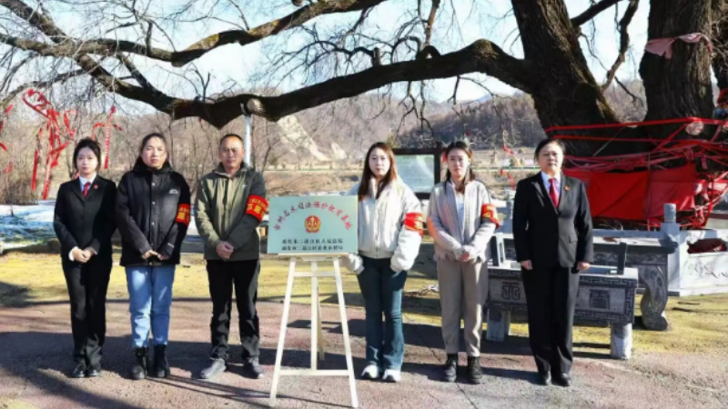 以司法力量守护绿色“活化石” 吉林通化二道江区法院设立古树名木司法保护教育基地
