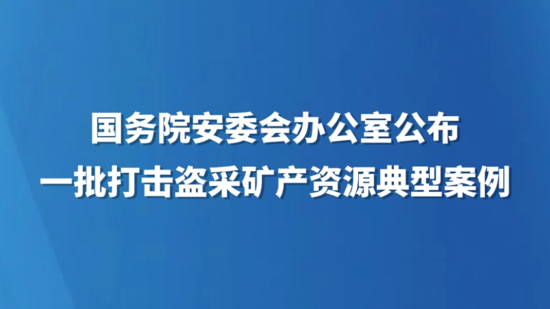 国务院安委会办公室公布一批打击盗采矿产资源典型案例