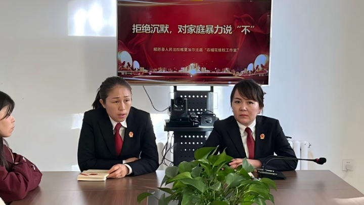 新疆昭苏县人民法院开展“11·25消除对妇女暴力日”青年普法志愿者法治文化基层行普法宣传活动