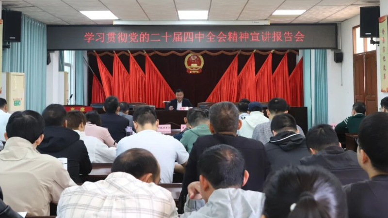 海口琼山法院党组书记、院长薛蕃超到大坡镇宣讲党的二十届四中全会精神