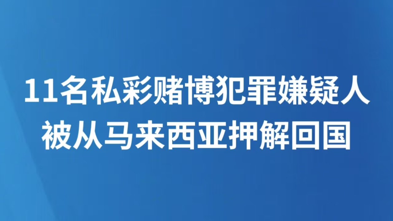 11名私彩赌博犯罪嫌疑人被从马来西亚押解回国