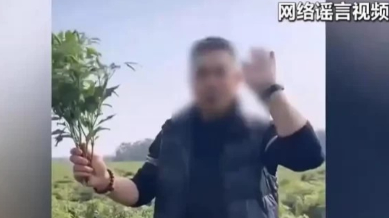 “免费捡菜”闹剧是如何传染全网的