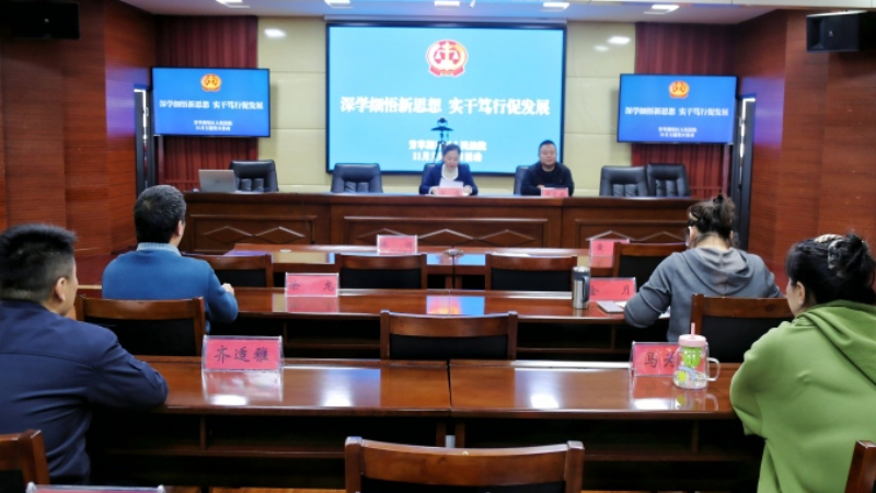 新疆生产建设兵团第六师五家渠市芳草湖垦区人民法院开展主题党日活动