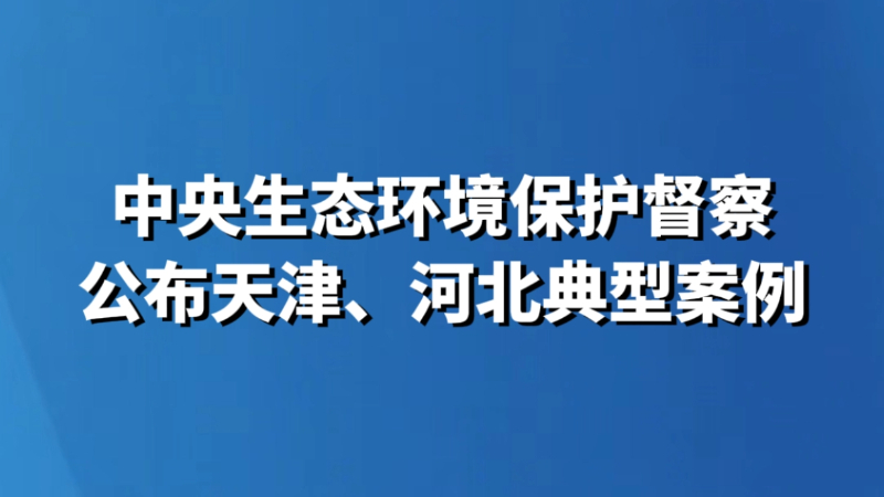 中央生态环境保护督察公布天津、河北典型案例