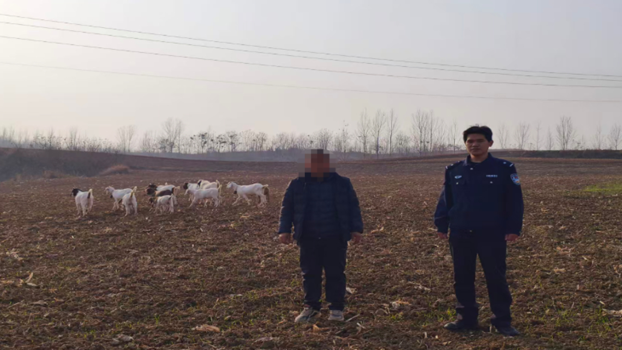 河南省南阳市桐柏县公安局：追踪“破案”寻丢羊 为民“挽损”解惆怅