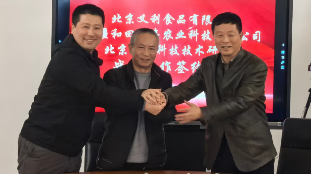 向沙漠要食物：沙漠菊芋面包出品 书写治沙与健康新篇章