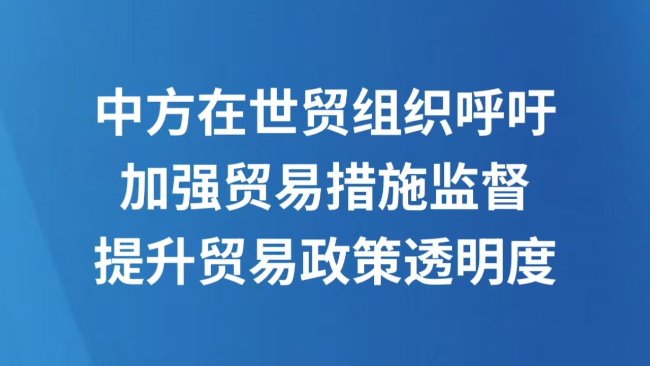 中方在世贸组织呼吁加强贸易措施监督 提升贸易政策透明度