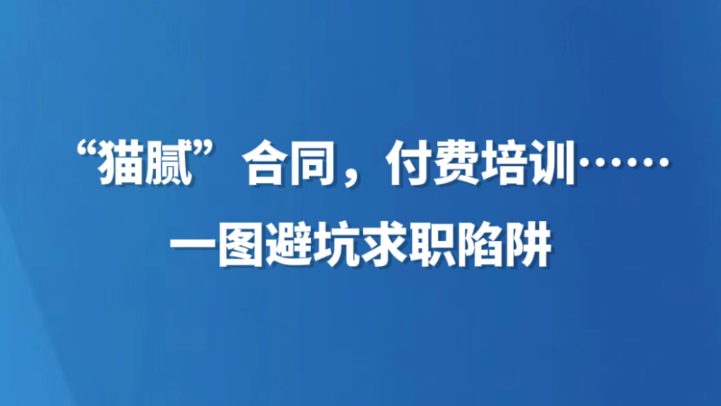 “猫腻”合同、付费培训……一图避坑求职陷阱