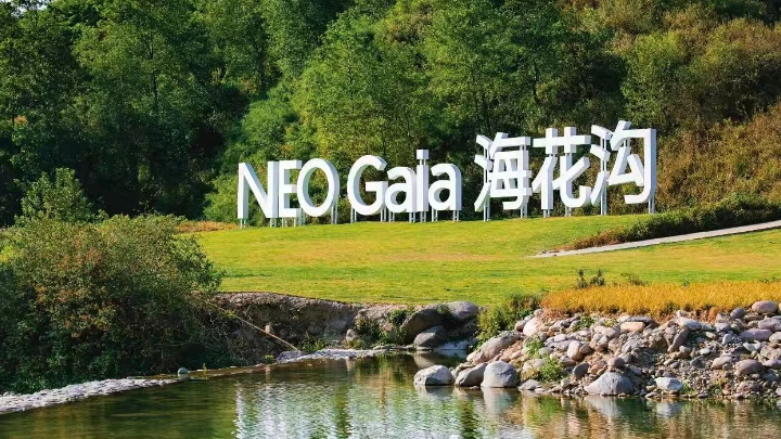 我在海花沟