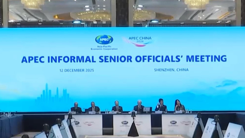 被寄予厚望的APEC“中国年”有何看点？