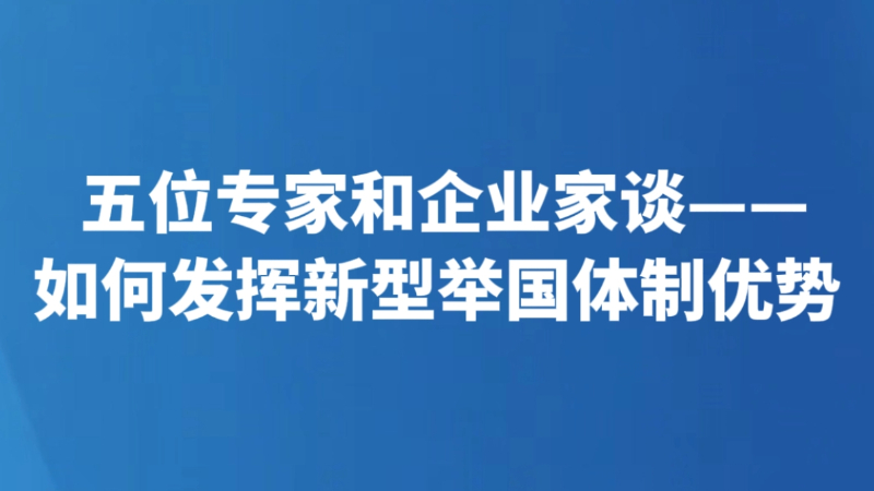 如何发挥新型举国体制优势