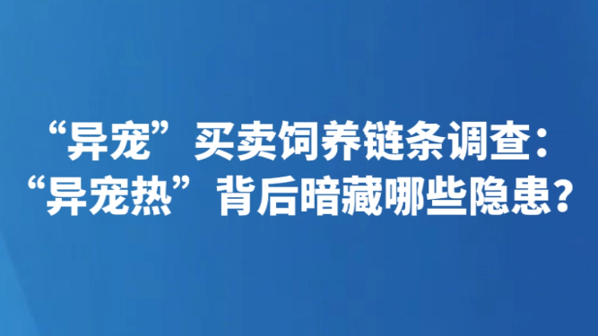 “异宠”买卖饲养链条调查：“异宠热”背后暗藏哪些隐患？