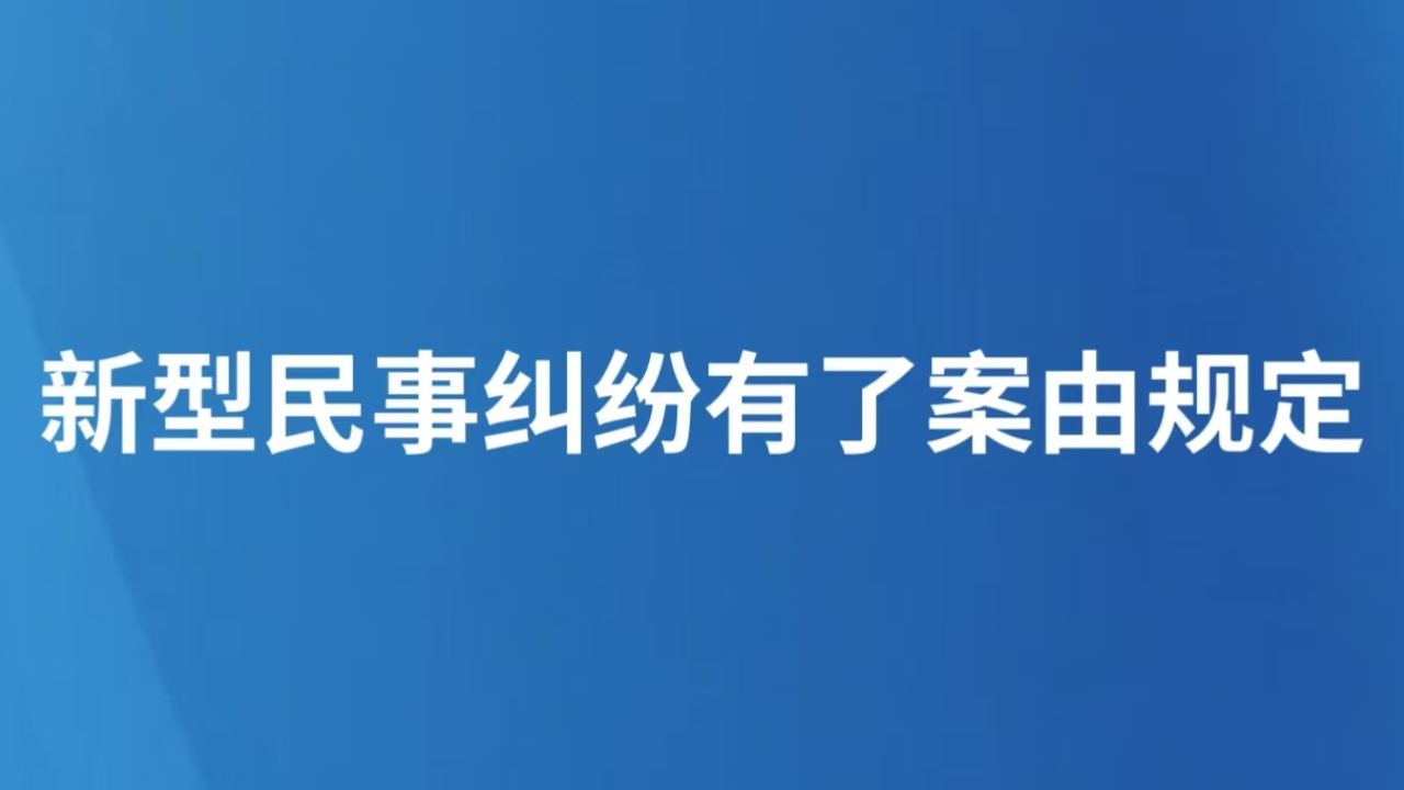 新型民事纠纷有了案由规定