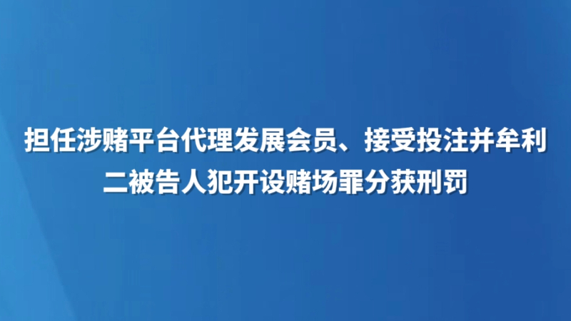 担任涉赌平台代理发展会员、接受投注并牟利