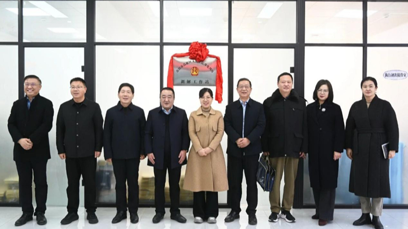 河南省南阳市高新区法院“涉电纠纷调解工作站”揭牌成立