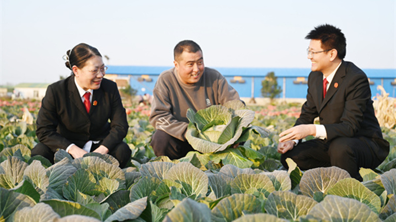 河南省南阳市社旗县法院：司法护航“菜园子” 赋能蔬菜产业提质增效