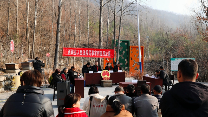 林间起“蜂”波——河南省南阳市西峡县法院巡回审判解蜂农之争