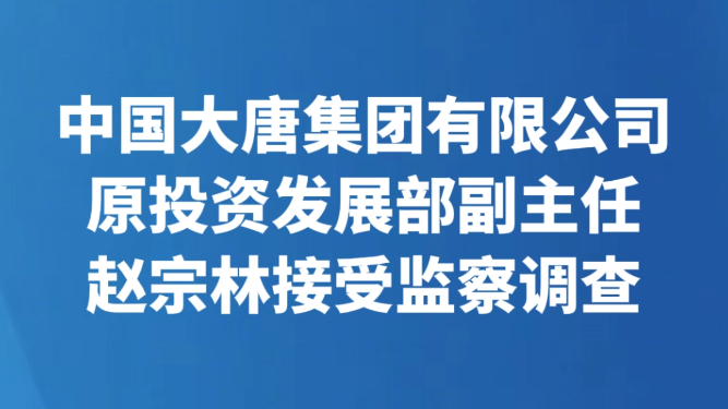 中国大唐集团有限公司原投资发展部副主任赵宗林接受监察调查