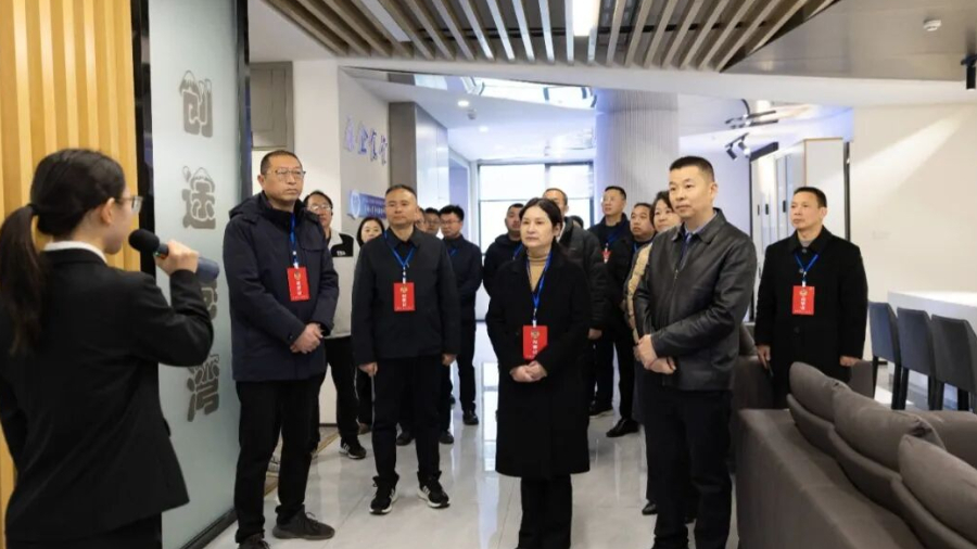 政协视察助力司法服务升级：邻水法院“送法上门”获赞