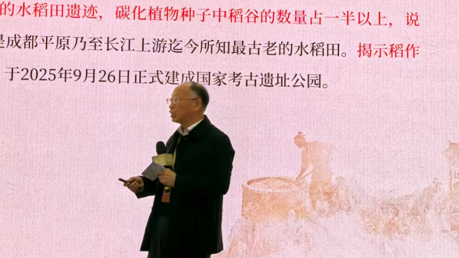 学界提出颠覆性观点：四川盆地或为中国高粱独立起源中心与白酒发源地