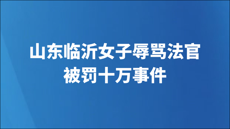山东临沂女子辱骂法官被罚十万事件