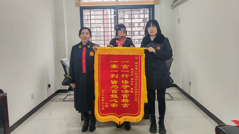 河南省南阳市西峡县法院：双旗映“枫”景 司法暖民心