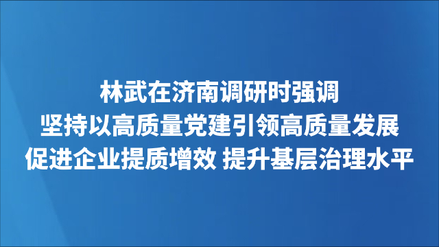 林武在济南调研时强调 坚持以高质量党建引领高质量发展 促进企业提质增效 提升基层治理水平