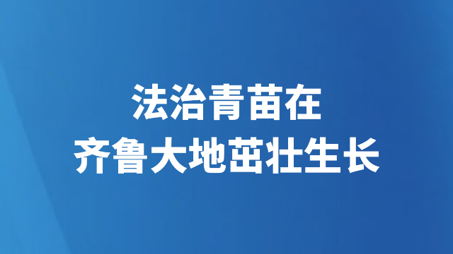 山东：法治青苗在齐鲁大地茁壮生长