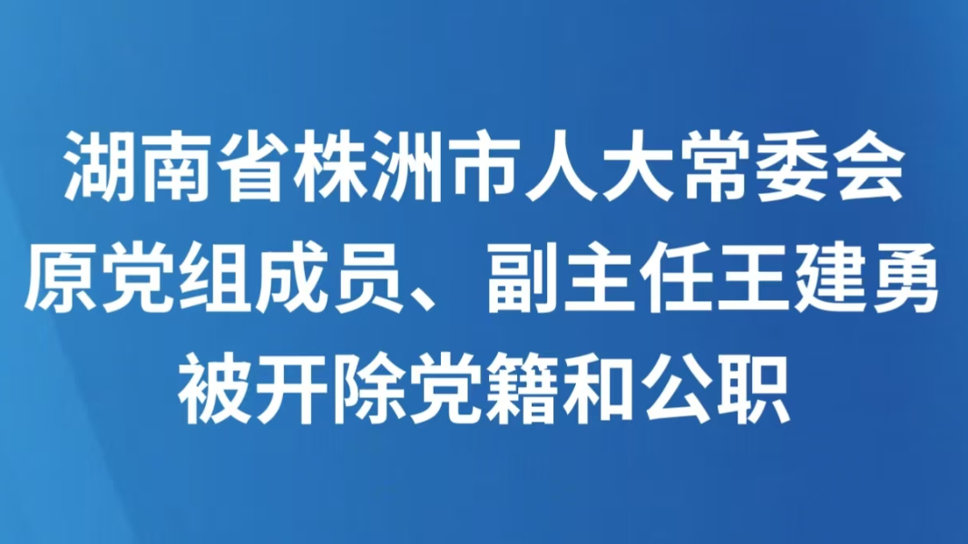 湖南省株洲市人大常委会原党组成员、副主任王建勇被开除党籍和公职