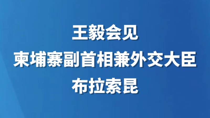王毅会见柬埔寨副首相兼外交大臣布拉索昆