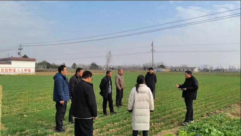 河南省南阳市宛城区：宛美志愿添活力 乡村振兴展新颜