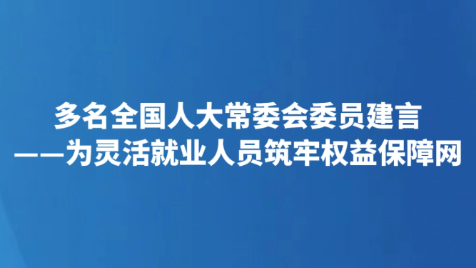 多名全国人大常委会委员建言——为灵活就业人员筑牢权益保障网