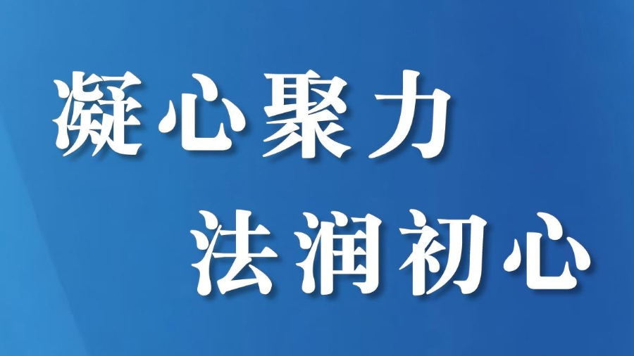 “先锋工作法”：一名老法官与他的党员执行团队