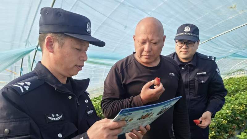 安徽泗县墩集派出所民警走进草莓园 将安全知识送到群众身边