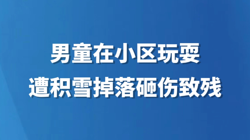 男童在小区玩耍遭积雪掉落砸伤致残